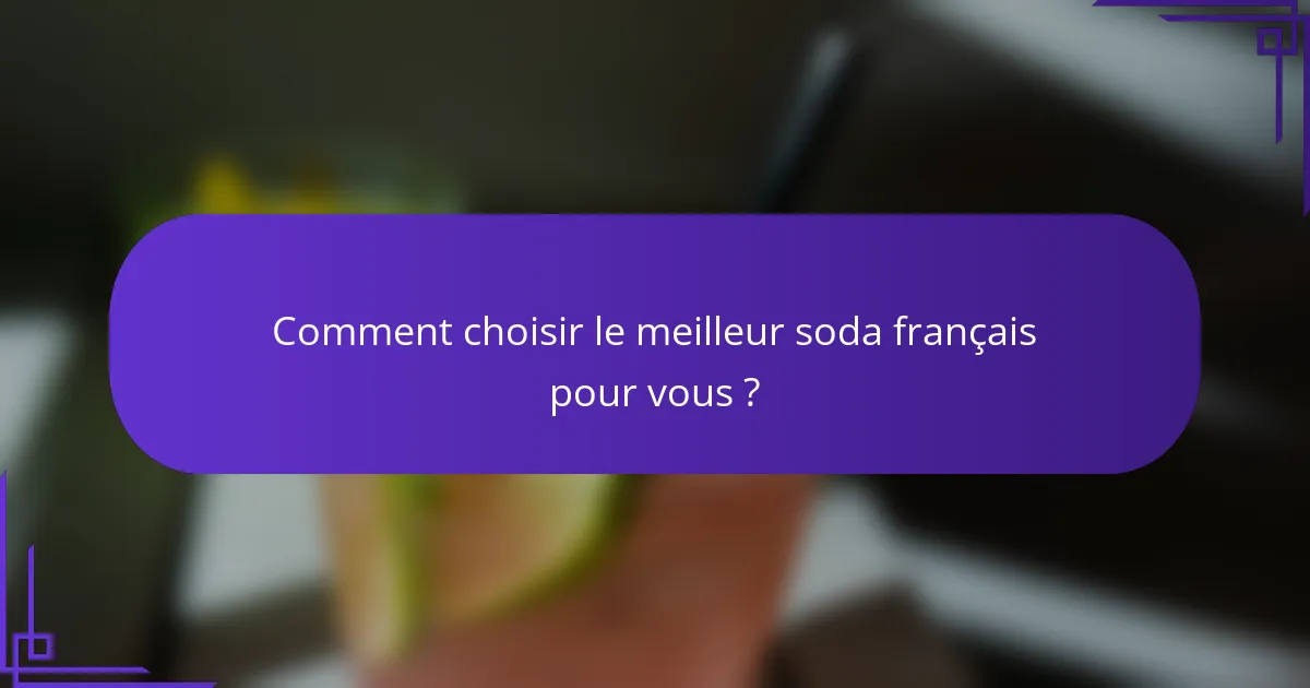 Comment choisir le meilleur soda français pour vous ?