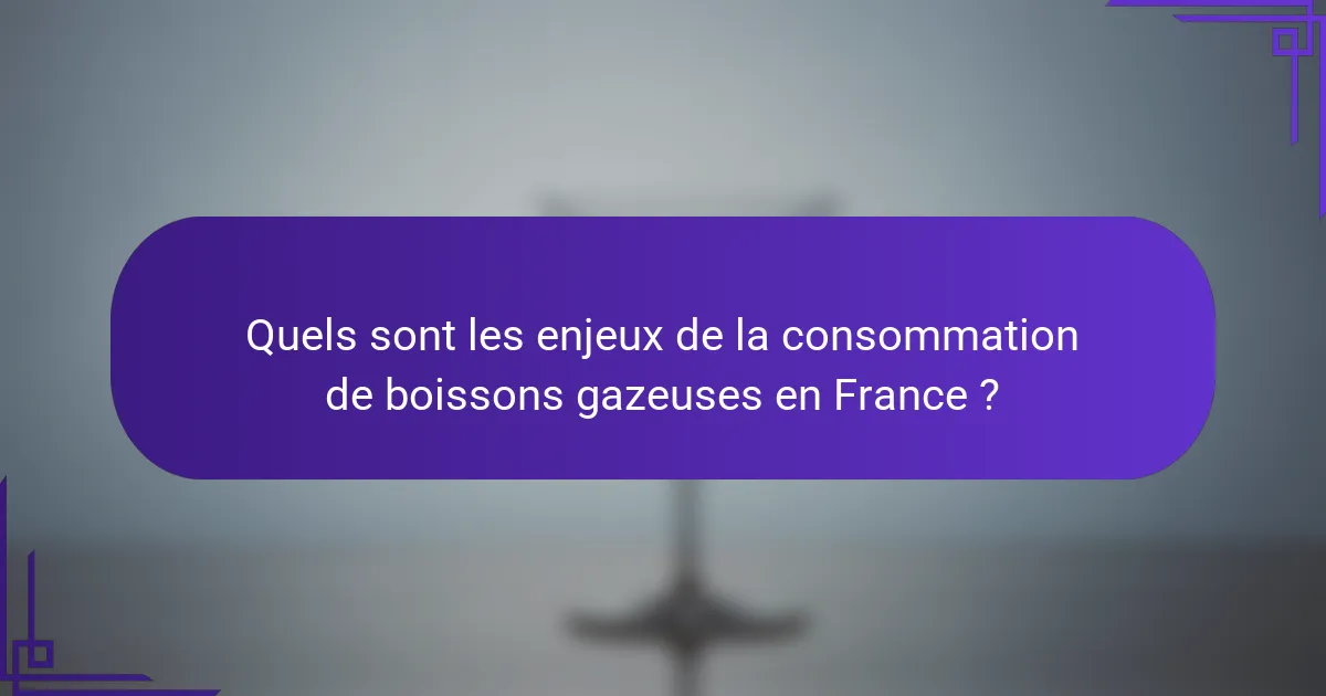 Quels sont les enjeux de la consommation de boissons gazeuses en France ?