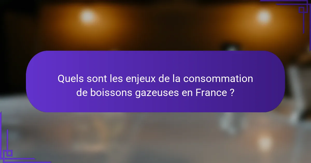 Quels sont les enjeux de la consommation de boissons gazeuses en France ?