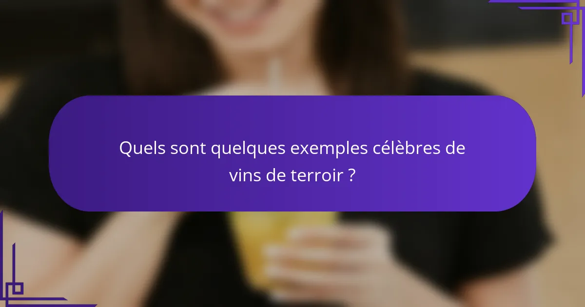 Quels sont quelques exemples célèbres de vins de terroir ?